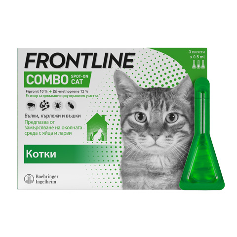 Frontline Combo cat front